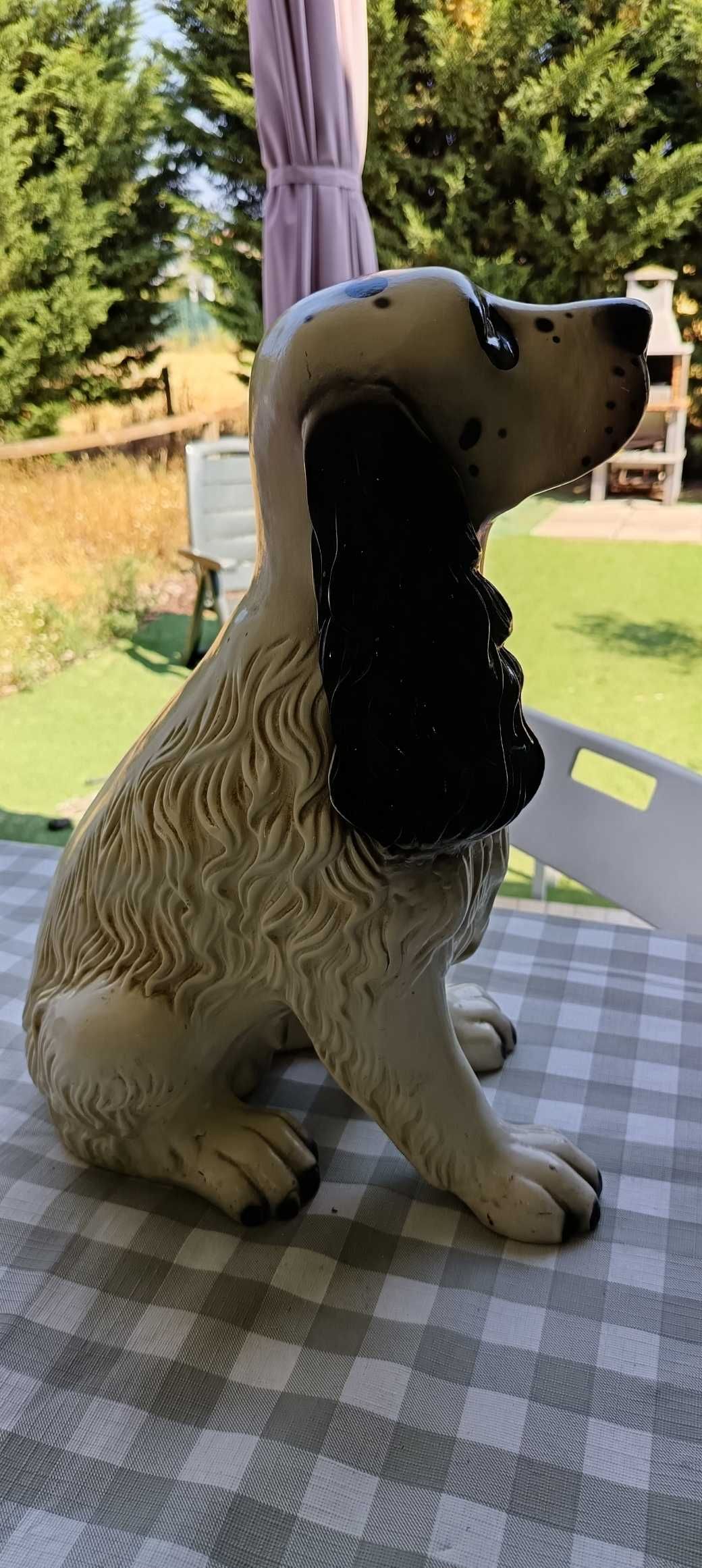 Joe (o Cocker de loiça)