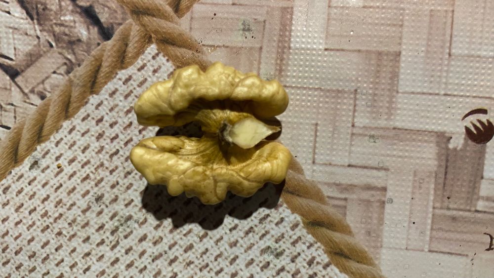 Грецький горіх битий на бабочку