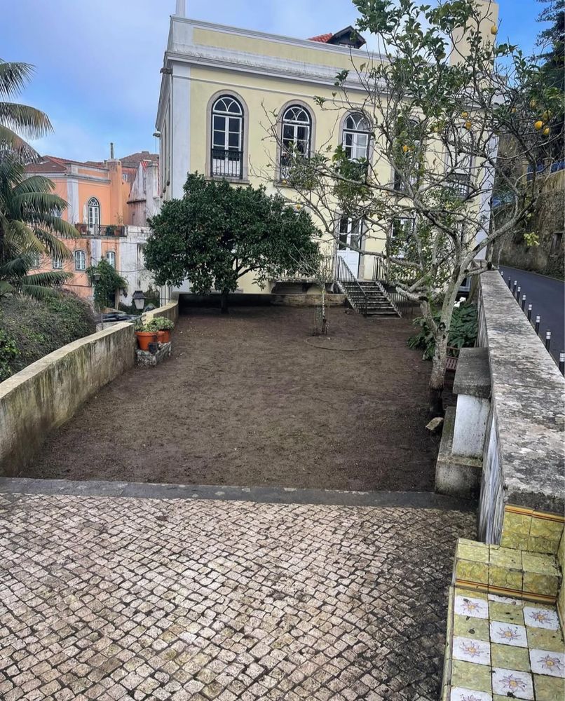 Limpeza de terreno