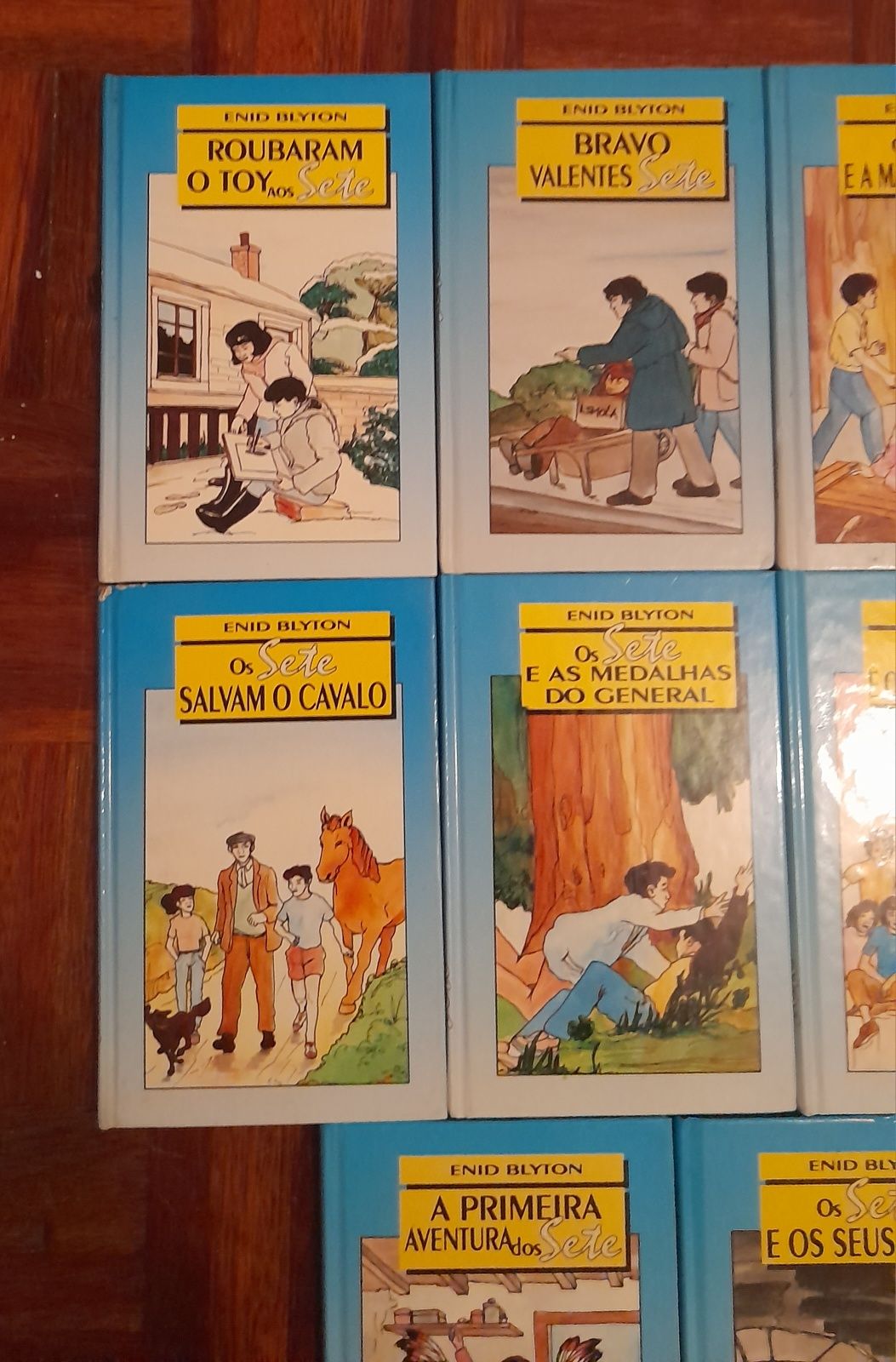 Coleção livros os sete