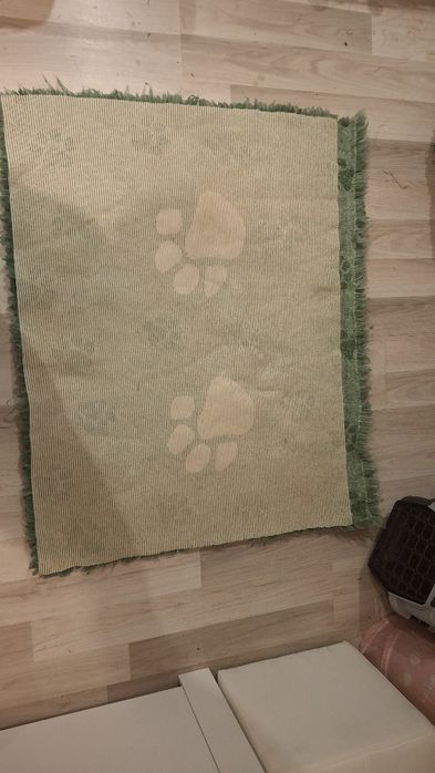 Drybed 5sztuk świnka morska/królik