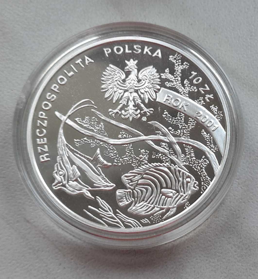 2 srebrne monety 10 złotych z 2001 roku: Siedlecki i Wieniawski