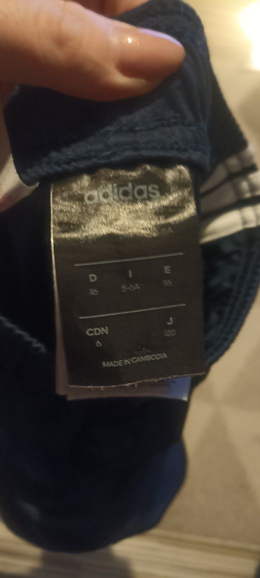 Spodenki adidas chłopięce 116