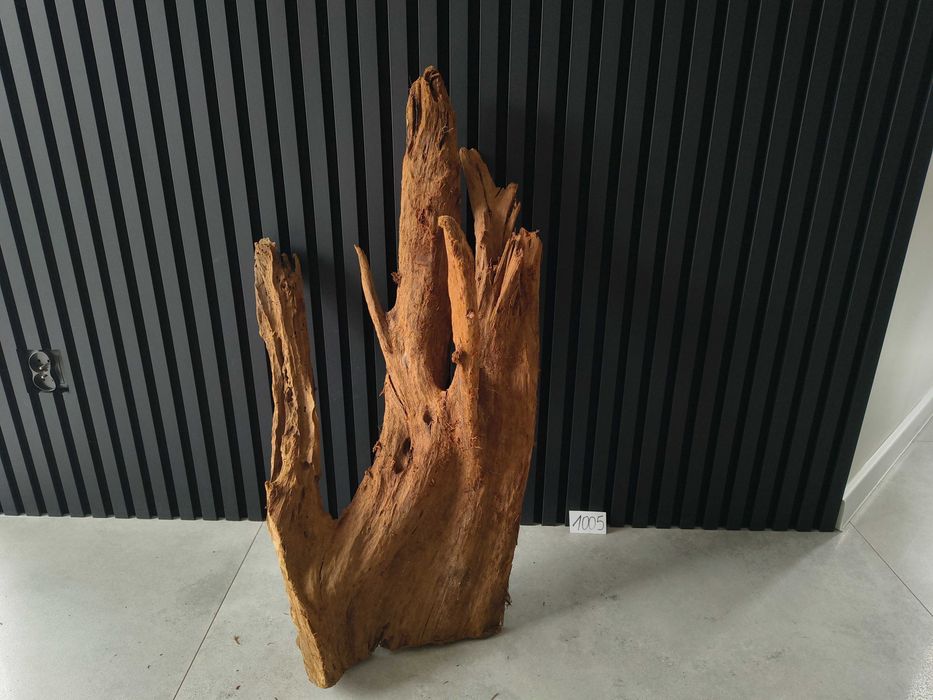 Korzeń MANGROWCA XXXL 1008 akwarium terrarium 210x140x40 Unikat Duży