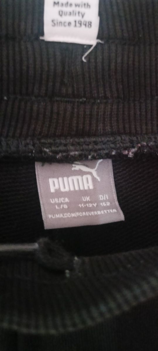 Spodenki dziecięce krótkie puma roz152/11/12 lat