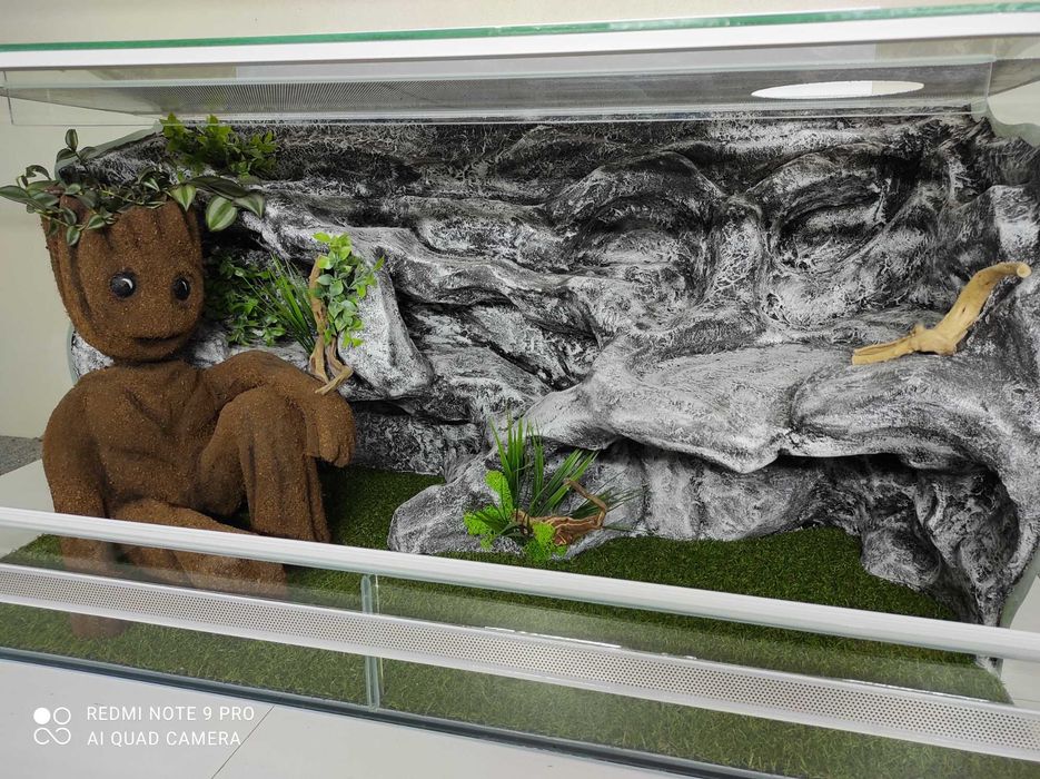 Terrarium z wystrojem dla agamy brodatej, TW46G3, AquaWaves