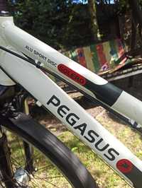 Rower Pegasus Solero Alu Sport Disc