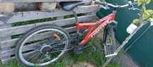 rower forester (full)