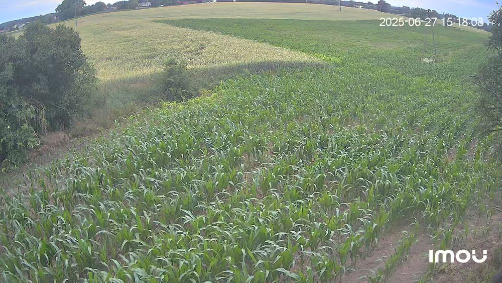 Sprzedam gospodarstwo rolne