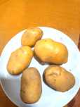 Batata Ágria de boa qualidade