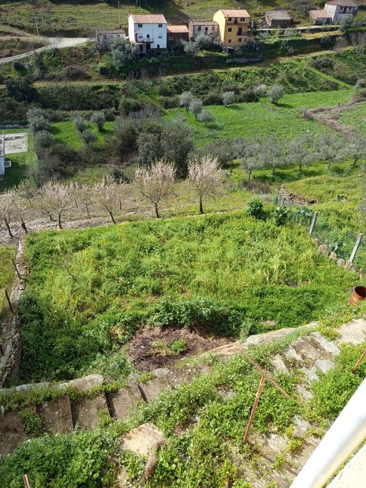 Terreno rústico em Moncorvo