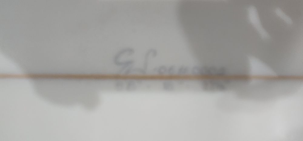 Conjunto surf prancha saco fato