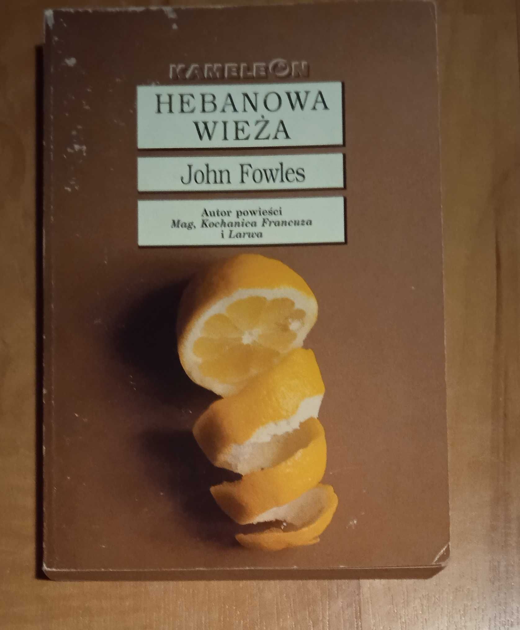 Hebanowa wieża - John Fowles