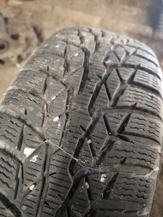 Nokian 185/65/15