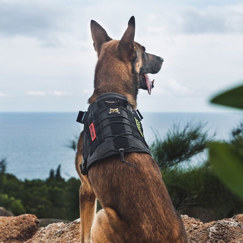 Arnês Cão K9 OneTigris L