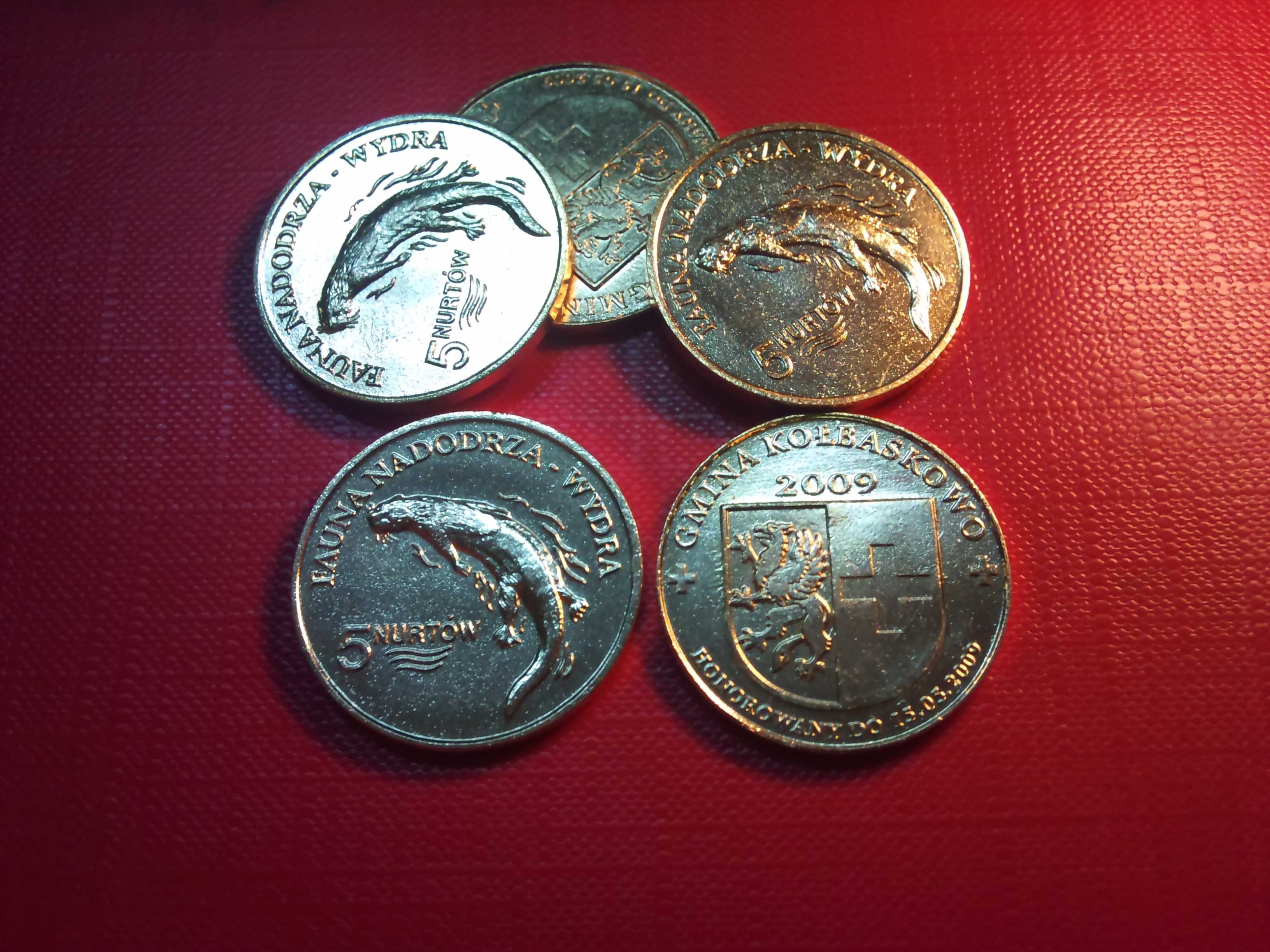 5 Nurtów -Wydra , moneta lokalna