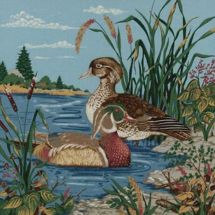 Par de quadros "Patos selvagens"