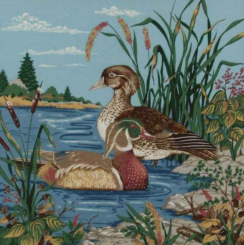 Par de quadros "Patos selvagens"