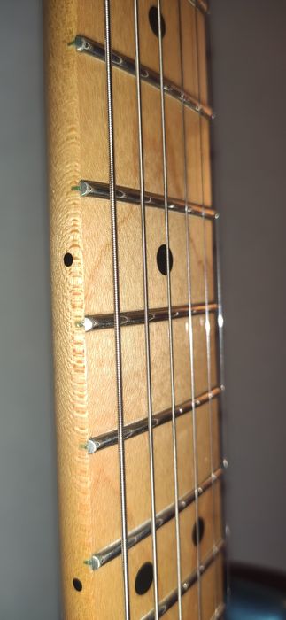 Fender Player Strat SSS MN TPL