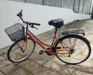 Bicicleta   Berg