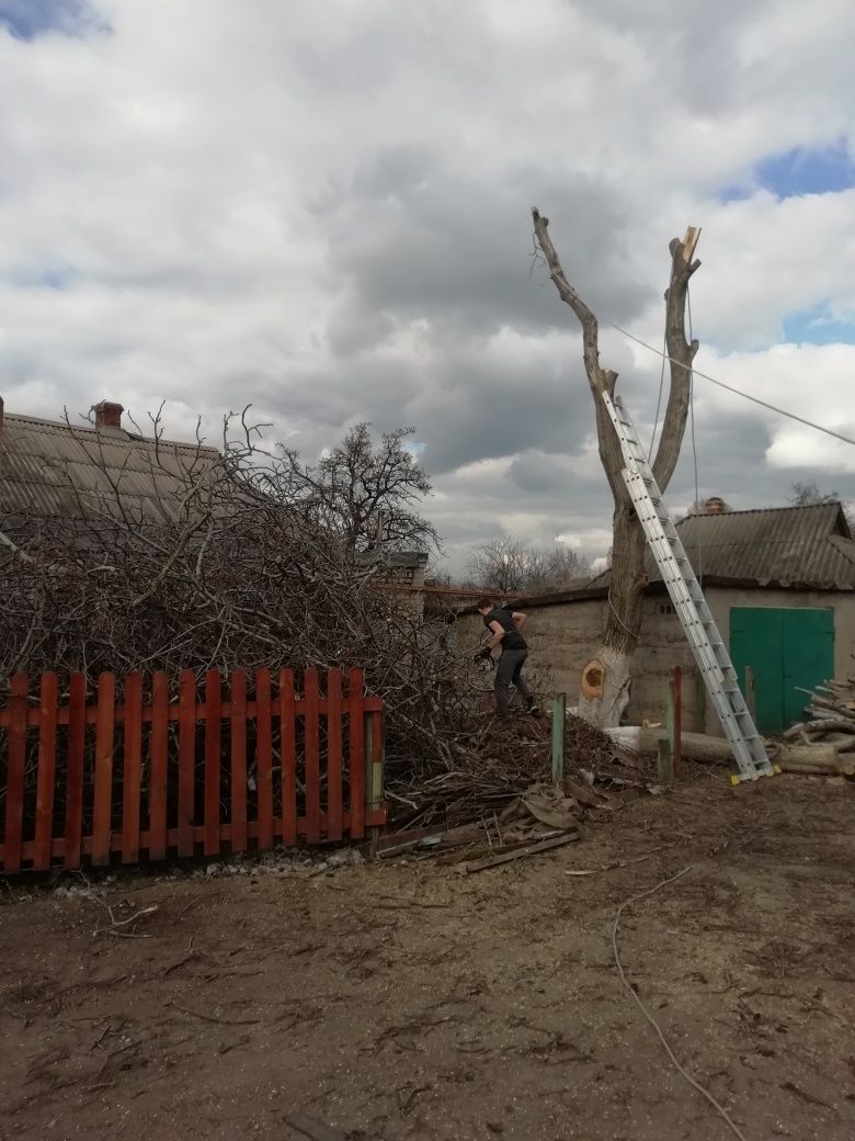 Спил деревев, Обрезка сада, покос травы, зарослей.