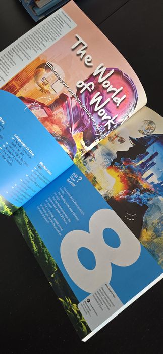 Like a Pro Ano 3 - Inglês - Conjunto Pedagógico Prof. Completo [NOVO]