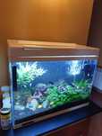 Akwarium JENECA 80 litrow