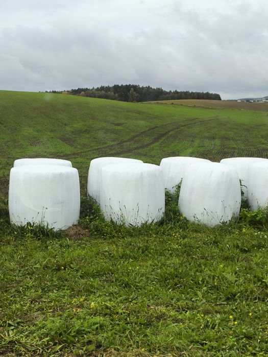 Sianokiszonka z pierwszego pokosu