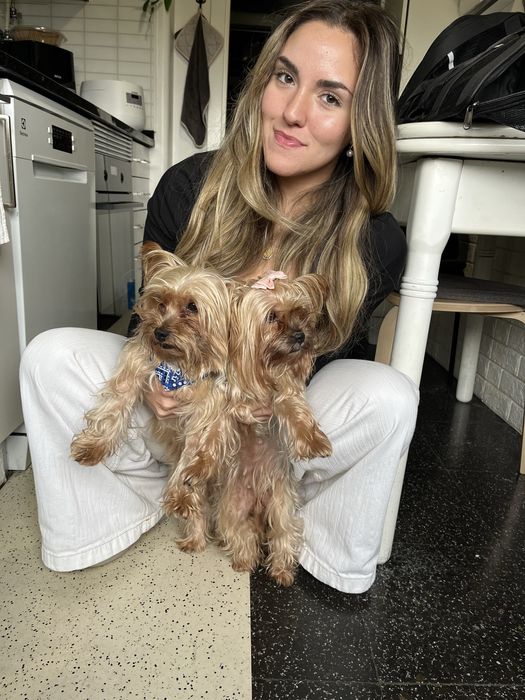 Pet Sitter e Dog Walker/Estadias/Passeios (Lisboa)