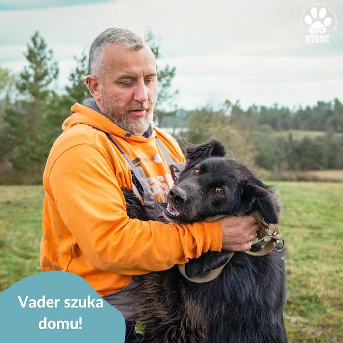 Vader szuka kochającej rodziny!