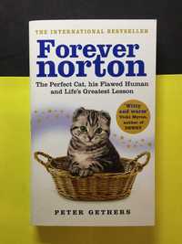 Peter Gethers - Forever norton