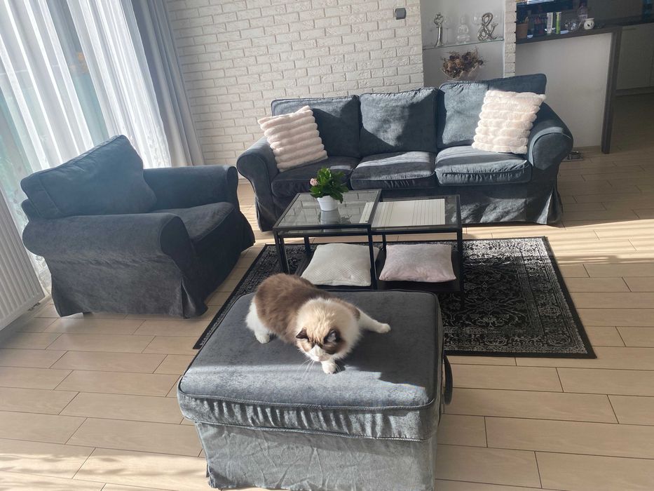 Sofa kanapa fotel pufa ikea ektorp