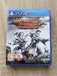 Divinity original sin PS4 oraz PS5