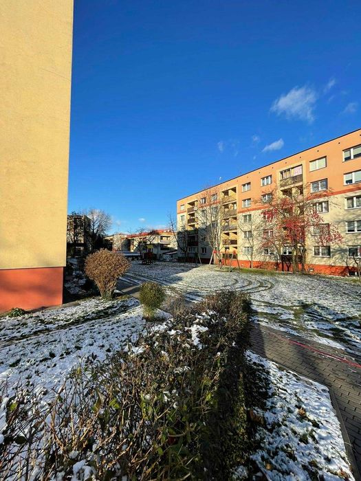 kawalerka do wynajęcia siemiatycze