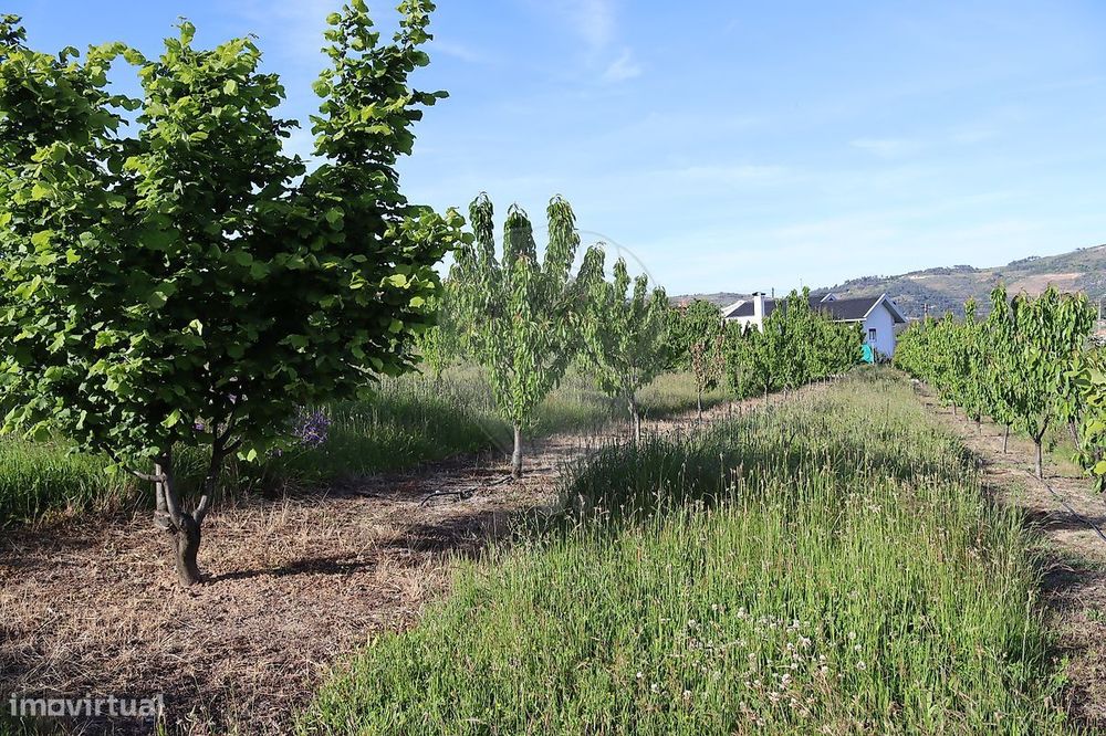 Terreno  para venda