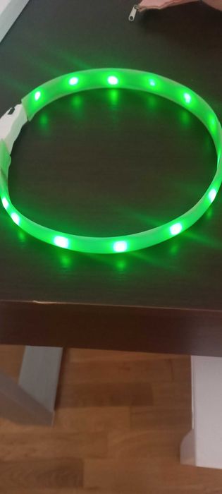 Obroża dla psa świecąca na usb