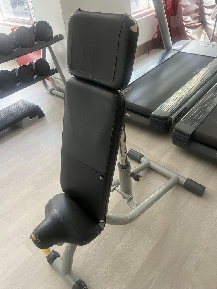 Bancos de musculacao   technogym