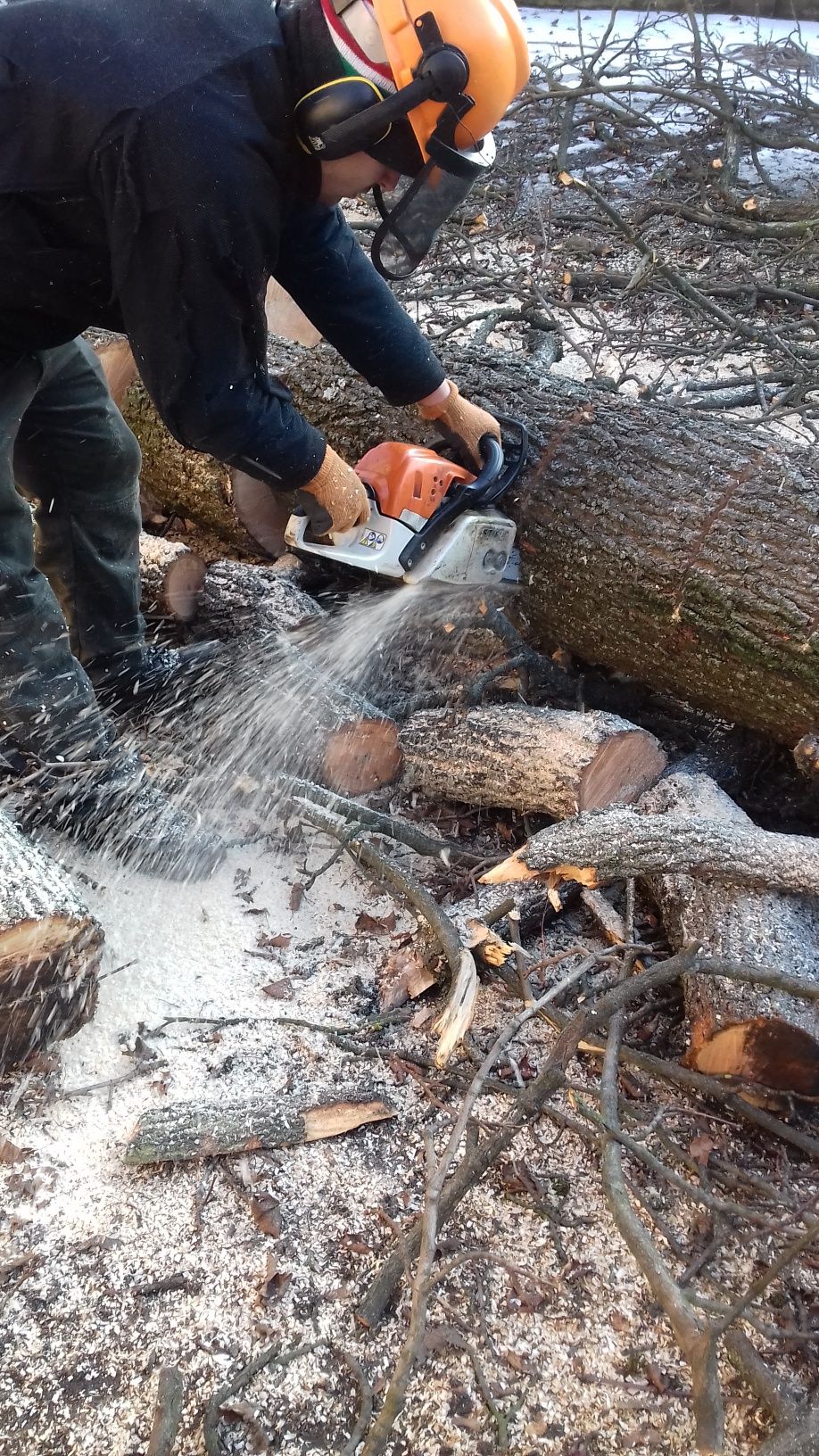 Wycinka drzew czyszczenie działek zrębkowanie gałęzi utylizacja karp