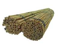 Tyczki Bambusowe 120 Cm 12/14 mm /100 Szt/