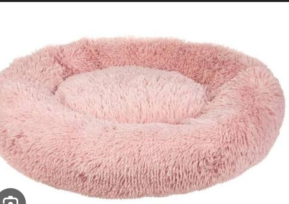 Promoção camas anti stress cães e gatos