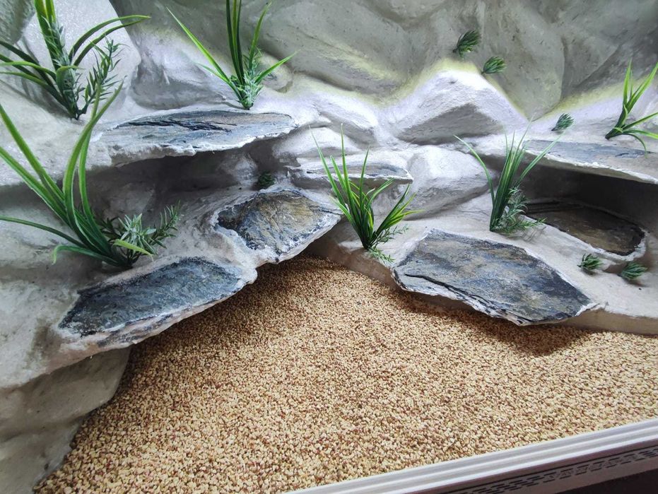 Terrarium pustynne nr668 120/60/60 dla agamy brodatej NA ZAMÓWIENIE