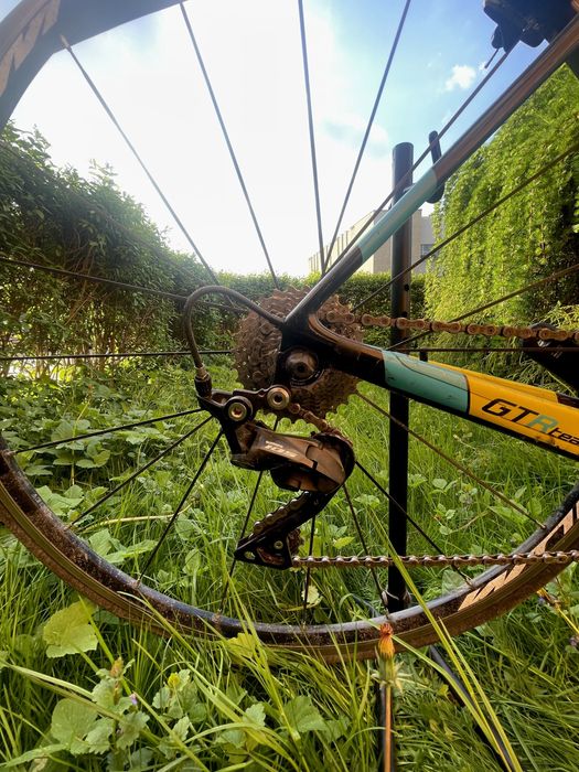 Szosa wilier trestina gtr