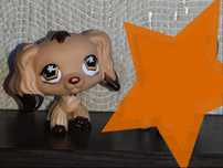 littlest pet shop обмін кокер спаніель собака, чит. опис