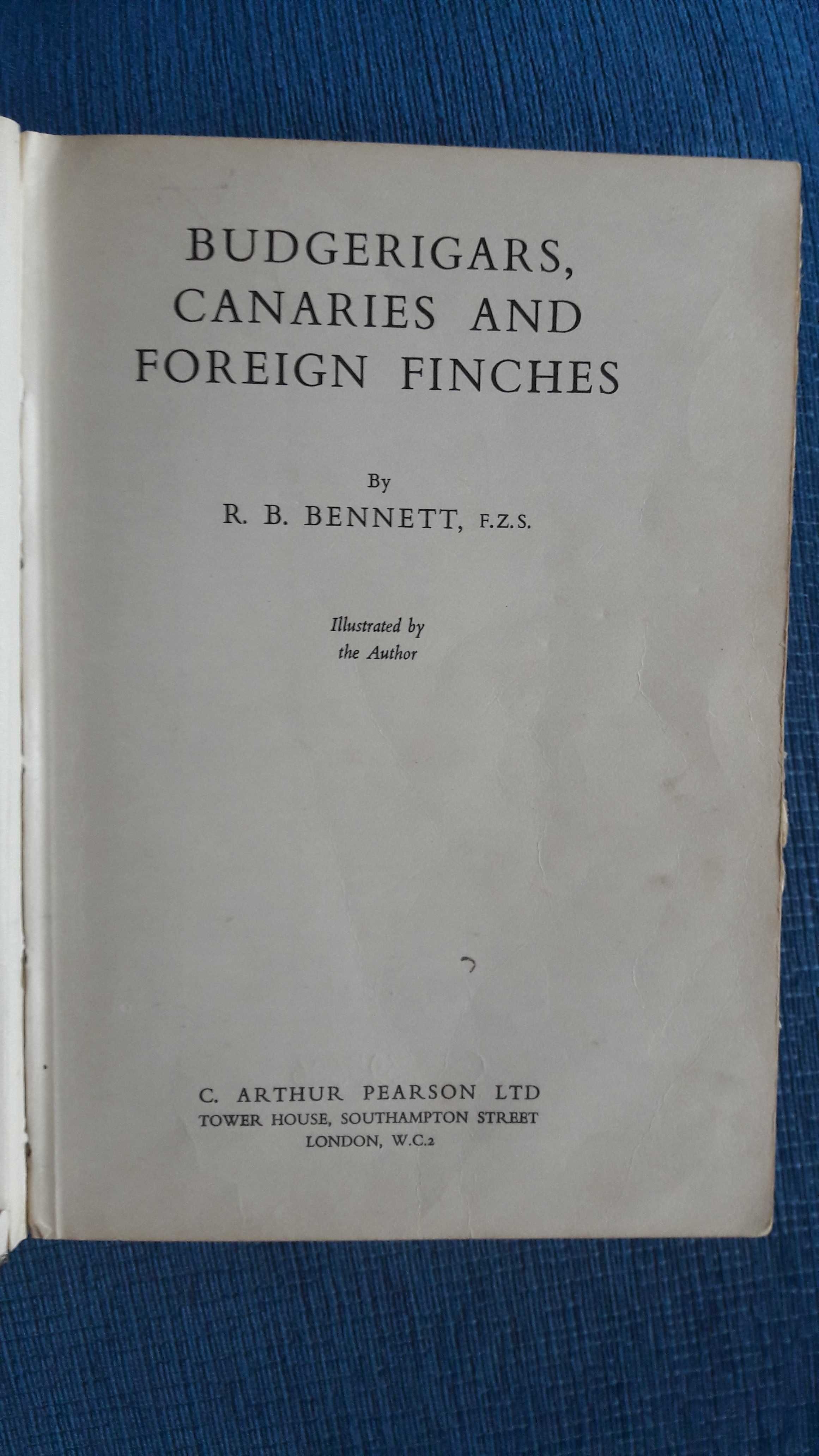 Budgerigars Canaries and Foreign Finches - R.B. Bennett, F.Z.S.
