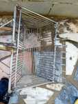 Ganxora para vender