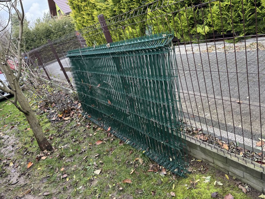 Panel ogrodzeniowy 250x123 4mm