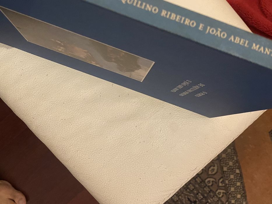 Livro de Arte O Porto de Aquilino e Abel Manta