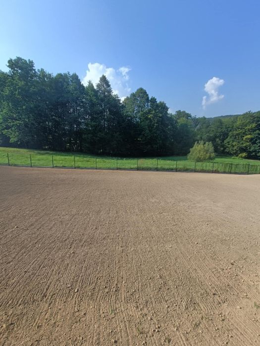 Szkółka drzew krzewów roślin