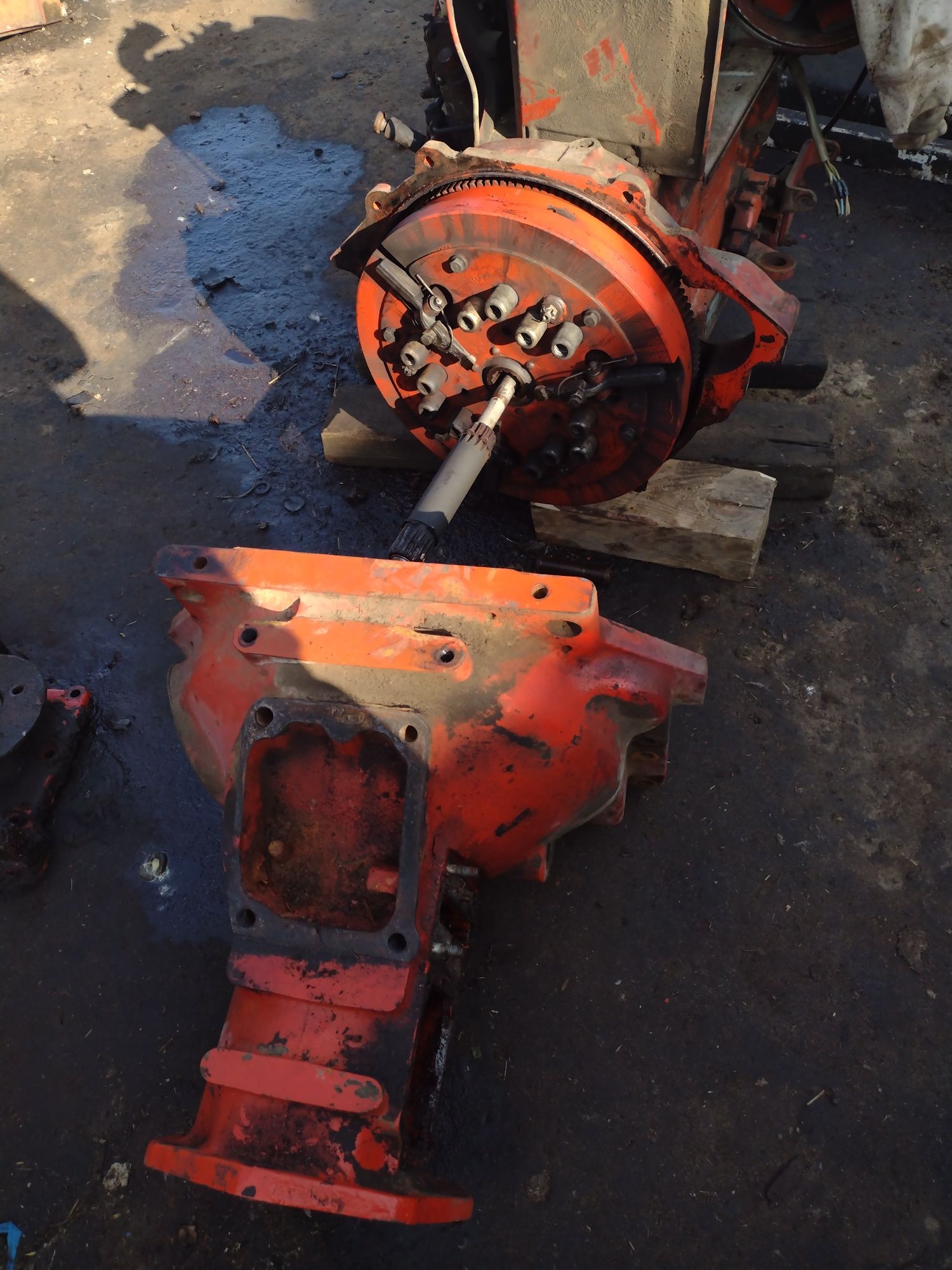 Wanna,Wladimirec T25