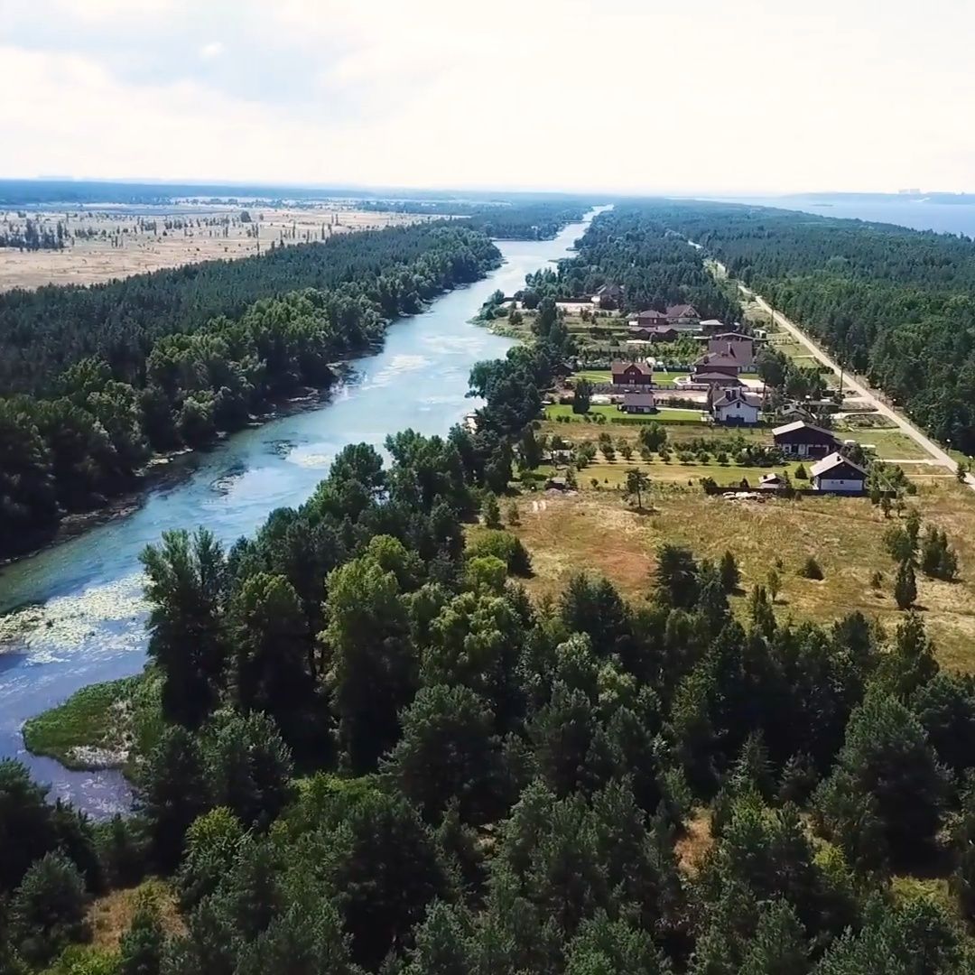 Участок 78 соток, обводной канал, Киевское море, сосновый лес